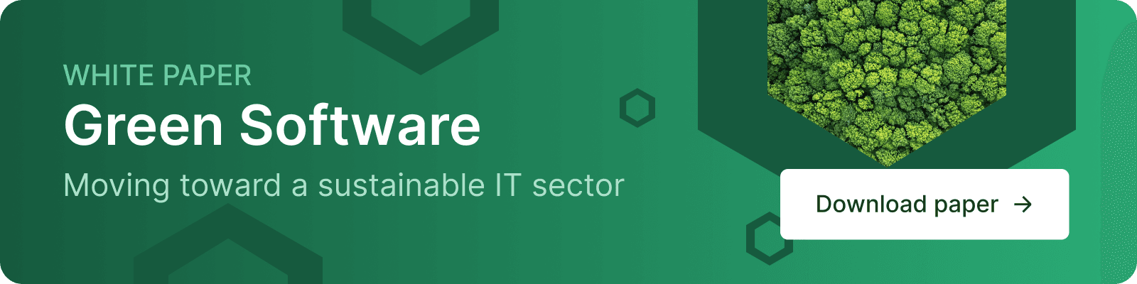 Promotional banner for the 'Green Software' white paper: moving toward a sustainable IT sector
