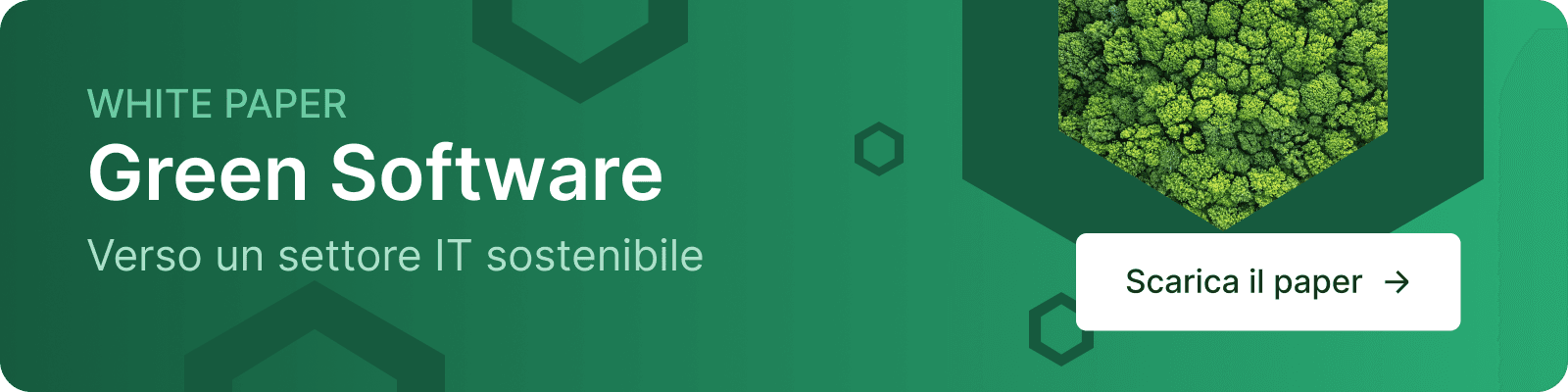 Banner promozionale del white paper 'Green Software': verso un settore IT sostenibile